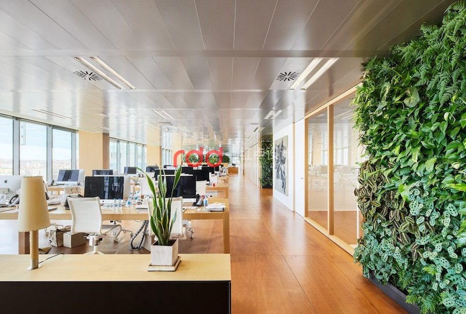 西班牙馬德里Chemo Office辦公室設(shè)計(jì)-3.jpg